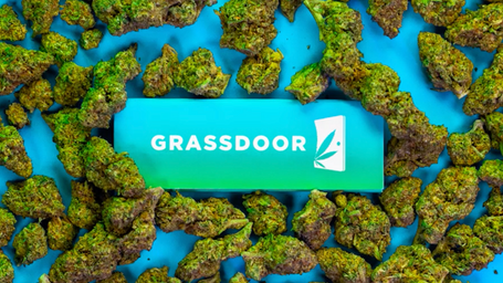 Grassdoor Stop Motion